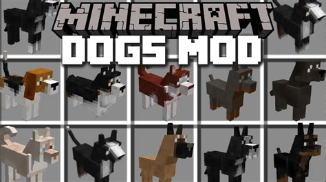 Minecraft Pets Mod Villagers Go Shopping For Dogs Minecraft Youtube