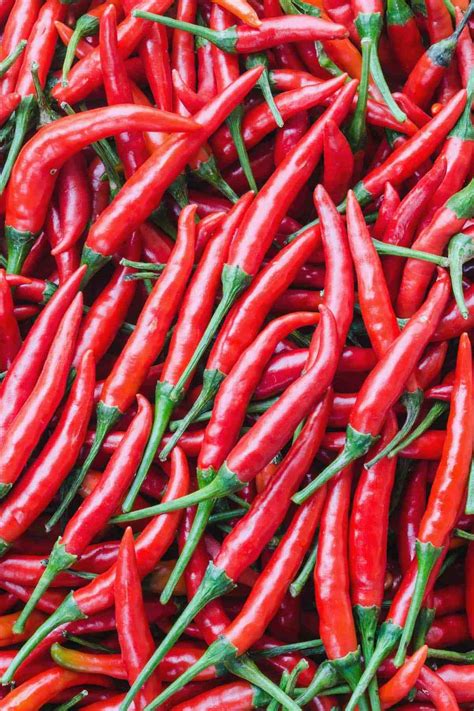 Enhance your breakfast, lunch or dinner with mccormick® black pepper. Chili Pepper Types - A List of Chili Peppers and their ...