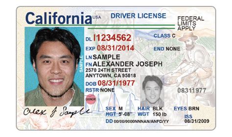 Sample Drivers License Barcode Keeperamela
