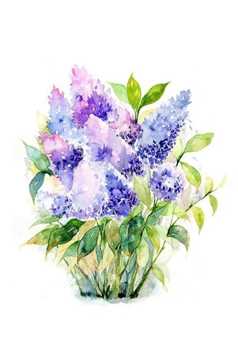 We did not find results for: Bouquet of Blue Roses - Flowers Paint By Numbers - Numeral ...
