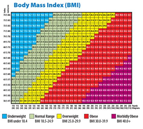 Body Mass Index Chart For Adults Telegraph