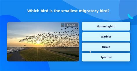 Which Bird Is The Smallest Migratory Trivia Questions Quizzclub