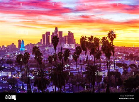 View Of Downtown Los Angeles Skyline With Palm Trees At Sunset Travel