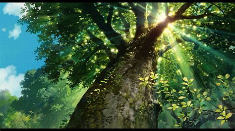 Hd Wallpaper Green Leafed Tree Anime Landscape Sunlight Trees