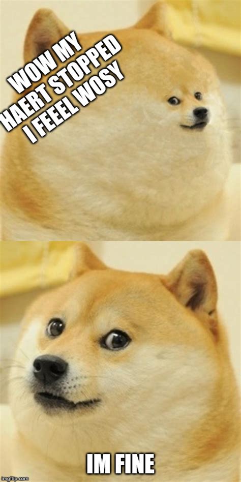 Fat Doge Meme Doge Is Fat Quickmeme There Are So Many Instagram