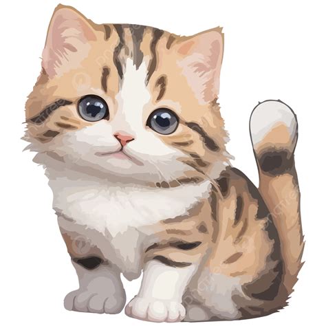 Kucing Lucu Vektor Desain Seni Ilustrasi Menggambar Kucing Hewan