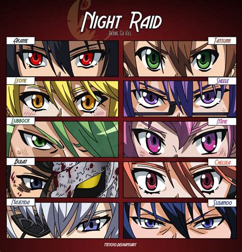 Akame Ga Kill Night Raid By Tte1010 On Deviantart