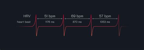 Heart Rate Variability — The Definitive Guide To Hrv By Welltory