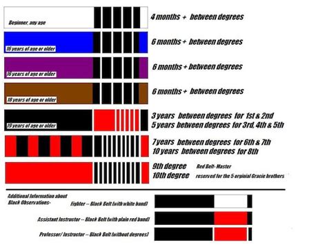 Brazilian Jiu Jitsu Bjj Instructor And Fighter Ranks Martial Arts