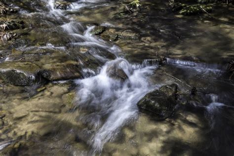 Cascading Water In Great Smoky Mountains National Park Image Free Photo
