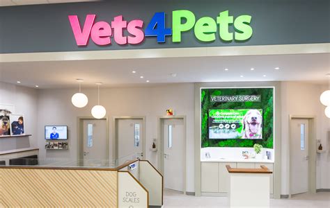 Vets in Brighton | Vets4Pets | Companion Care