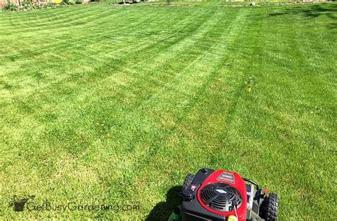We did not find results for: Lawn Mowing Patterns: How To Cut Grass Like A Pro