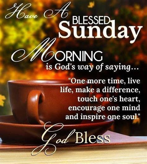 These all are really beautiful good morning motivational quotes. Sunday morning | Happy sunday morning, Have a blessed ...