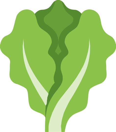 Lettuce Clipart Outline Lettuce Icon Png Clip Art Library
