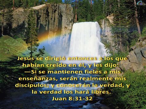Biblia Paisajes Y Maravillas Juan 831 32