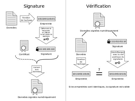 Signature numérique — Wikipédia | Digital signature, Electronic signature, Digital certificate