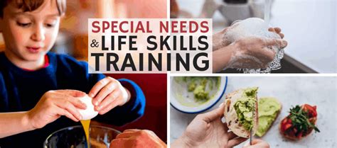 Course Hbse3403 Living Skills For Special Education 1