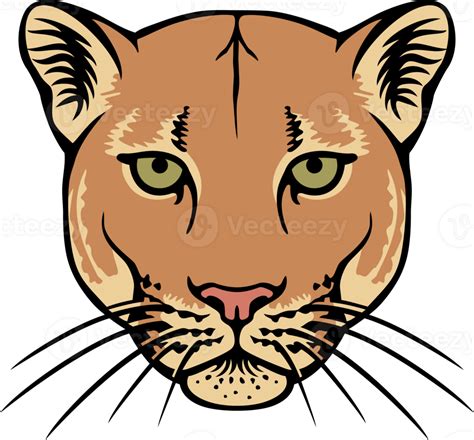 Cougar Head Png Illustration 24391681 Png