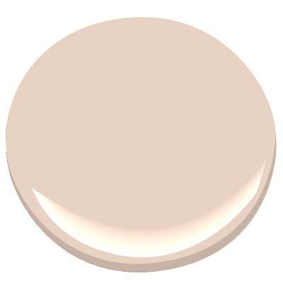 In india, black is also the color of protection against evil. Pale Salmon Paint Color | Colorpaints.co