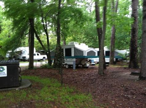 Maybe you would like to learn more about one of these? campground - Picture of Myrtle Beach State Park, Myrtle ...