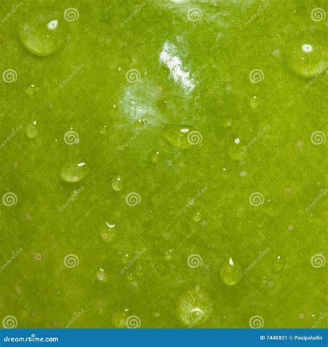 Green Apple Macro Texture Stock Image Image 7440831