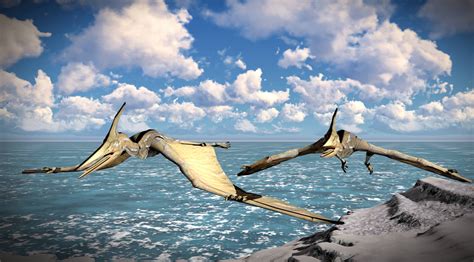 Pterodactyls Did Not Fly Like Bats New Study Finds
