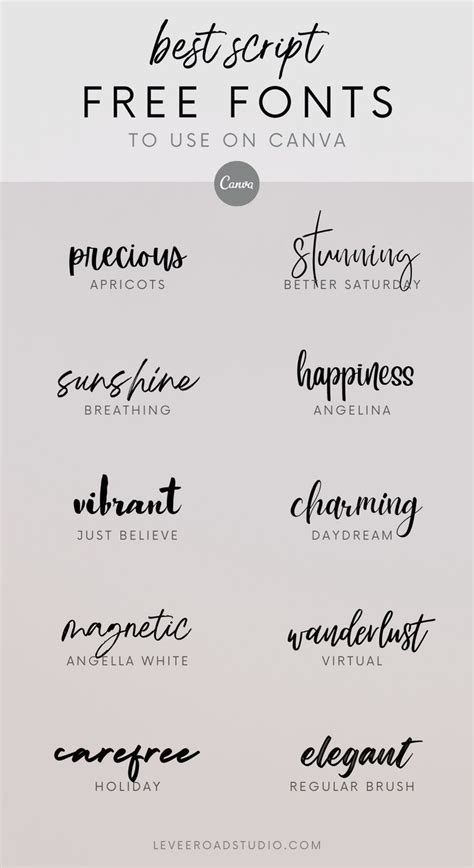 10 Free Fonts On Canva Script And Handwritten Fonts And Calligraphy