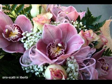 Se hai bisogno di fare degli auguri speciali. fiori...e auguri.wmv - YouTube
