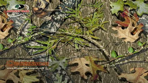 Mossy Oak Camo 1920x1080 Download Hd Wallpaper Wallpapertip