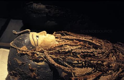 The Worlds Oldest Mummies And Their Interesting Facts That Will Blow Your Mind