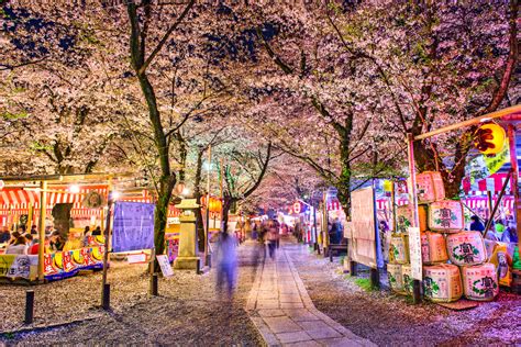 From water festivals to massive bonfires, find out how people around the world celebrate the return of spring. Cherry Blossom Tour - Asahi Travel Group