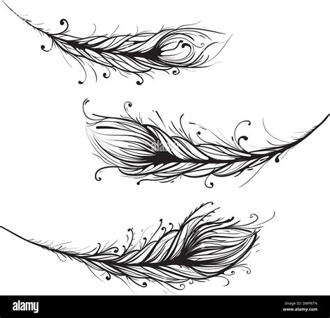 Intricate Decorative Feathers Illustration Stock Vector Image And Art Alamy