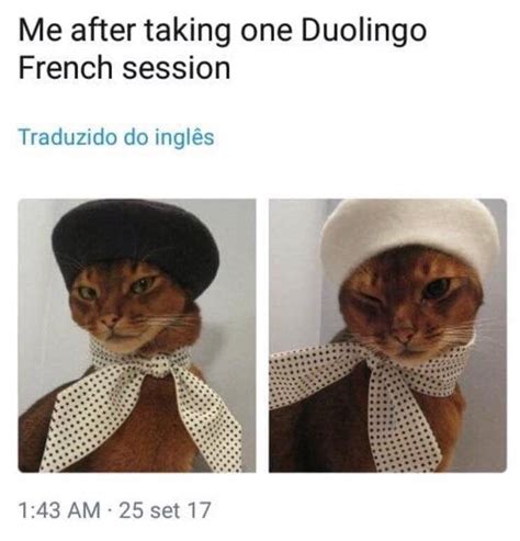 53 Language Related Memes For Frustrated Polyglots Funny Animal
