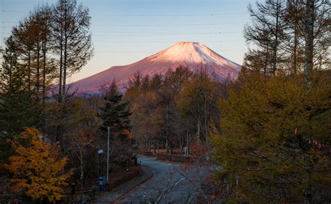 Mount Fuji Fall Colors Trip Report Day 2 Travel Caffeine