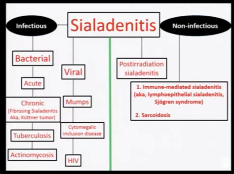 Exam 4 Sialadenitis Inflammation Of Salivary Glands Flashcards Quizlet
