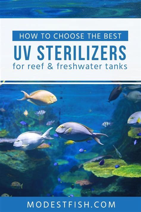 The Best Uv Sterilizers For Aquariums In 2021 Reviewed Tropical Fish