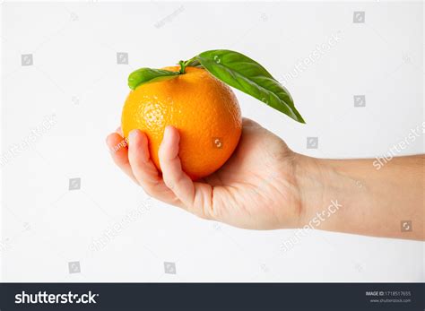 226270 Hand Holding Orange Images Stock Photos And Vectors Shutterstock