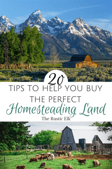 20 Tips To Buy The Perfect Homesteading Land The Rustic Elk