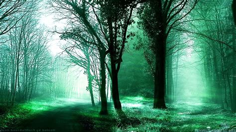 Green Foggy Forest Wallpaper 1920 1080 Via Classy Bro Foggy Forest
