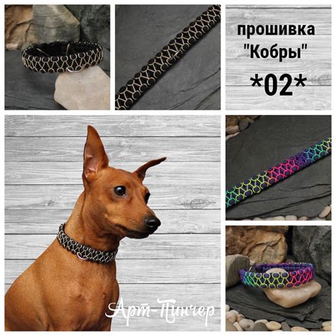 Ошейник. Ошейники из паракорда. Ошейник для большой собаки. Прочный ...