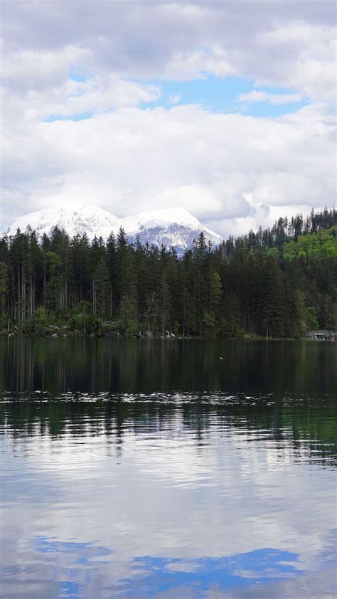 Beautiful Scenery View Of Forest Trees Lake Snow Covered Mountains 4k