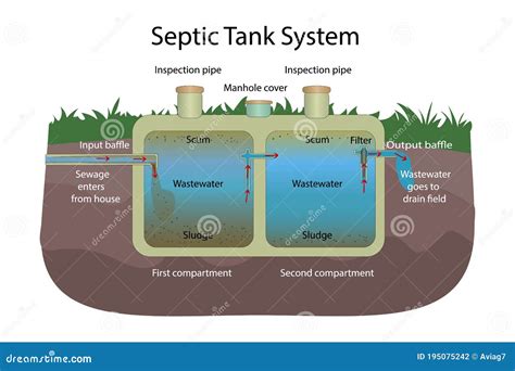 Septic Tank System Principle Of Operation Stock Vector Illustration