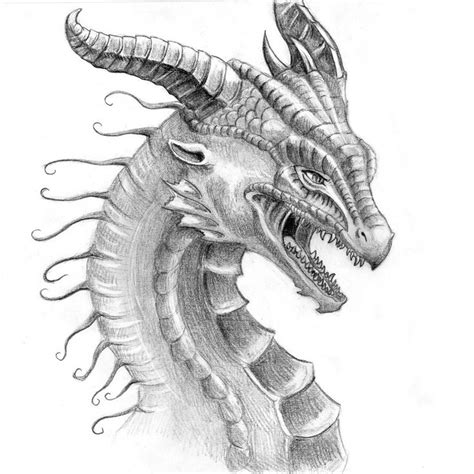 Pin By April Dikty Ordoyne On Dragons Realistic Dragon Dragon