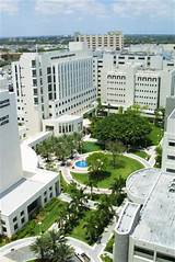 University Of Miami Medical Images