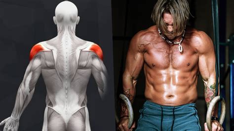 Best Rear Deltoid Workout For Mass And Strength Boxrox