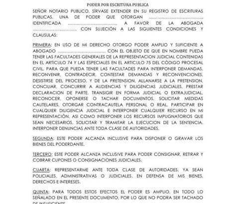 Carta De Poder General Ejemplo Sample Site F