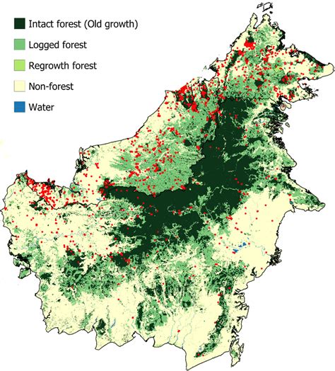 The Extent And Types Of Forest Cover Over Borneo In 2016 Adapted From