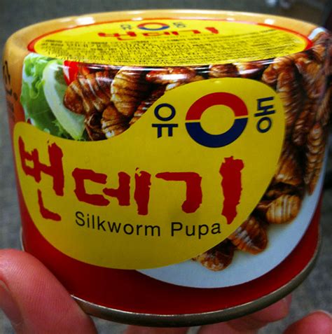 Photo Of The Week Silkworms In A Can From South Korea