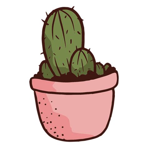 Flowerpot Plant Cactus Illustration Transparent Png And Svg Vector File
