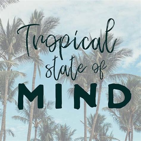 Good vibes quotes and positive vibes quotes. Summer Vibes #quote . . . . #liveauthentic #feedfeed # ...